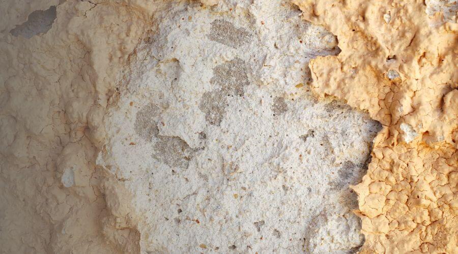 Why choose OasisPrime Team for water damage restoration in Overland Park, KS